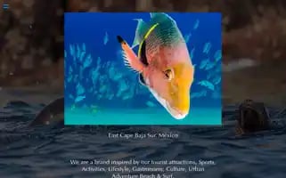 Eastcapebajatours.com Screenshot 2024-04-25 21:31:11