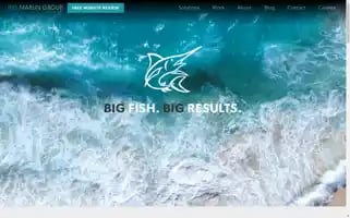 Bigmarlin.group Screenshot 2024-07-05 19:00:53