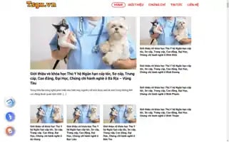 Tsgx.vn Screenshot 2024-06-25 02:56:02