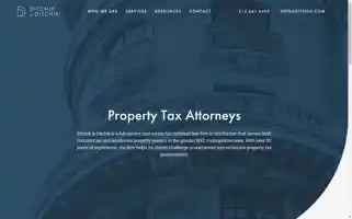 Ditchik.com Screenshot 2024-06-30 14:02:53