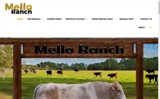 Melloranch.com Screenshot 2024-07-03 13:30:23