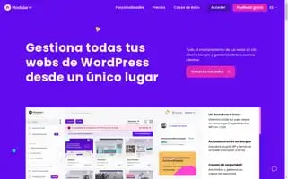 Modulards.com Screenshot 2024-07-04 13:24:21