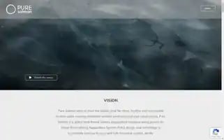 Pure-salmon.com Screenshot 2024-06-26 00:44:39