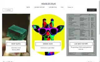 Houseofsylas.com Screenshot 2024-06-30 21:46:36