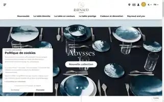 Raynaud.fr Screenshot 2024-06-25 23:56:28