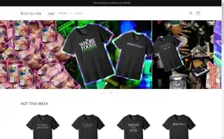 Borntovibe.com Screenshot 2024-05-02 05:06:19