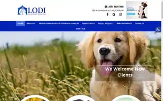Lodivethospital.com Screenshot 2024-05-16 06:03:03