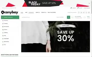 Canybay.com Screenshot 2024-05-20 04:44:42