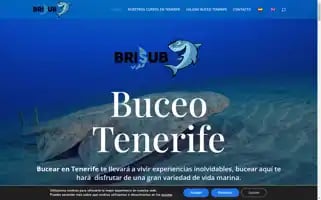 Brisubuceo.com Screenshot 2024-07-08 14:23:09