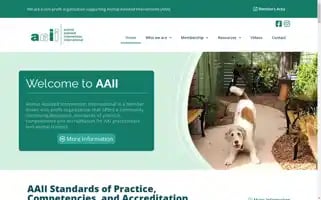 Aai-int.org Screenshot 2024-07-04 12:19:28