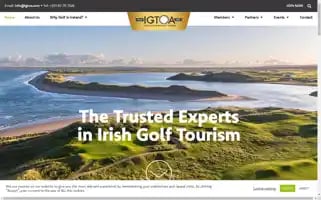 Igtoa.com Screenshot 2024-07-01 14:36:47