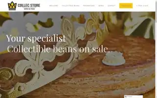Collec.store Screenshot 2024-05-19 01:12:20