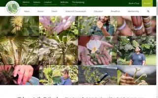 Ntbg.org Screenshot 2024-05-13 04:34:39