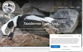 Taxidermiedafyduck.com Screenshot 2024-05-27 08:46:29