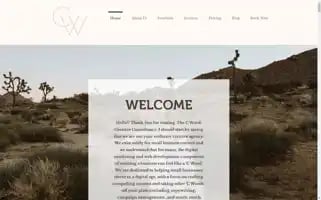 Thecwordconsultancy.com.au Screenshot 2024-06-17 01:41:47