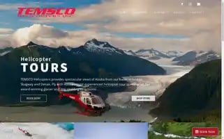 Temscoair.com Screenshot 2024-07-04 11:06:10