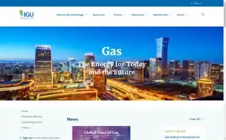 Igu.org Screenshot 2024-06-15 23:17:01