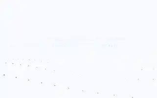 Uzmanyazilimci.com Screenshot 2024-07-08 10:38:48