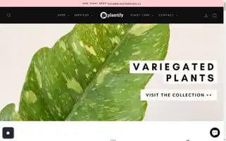 Plantify.co.za Screenshot 2024-05-05 09:12:49