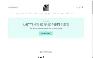 Haseyasnewbeginningar.com Screenshot 2024-07-01 11:31:38