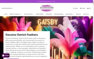 Buyostrichfeathers.com Screenshot 2024-05-04 08:51:23