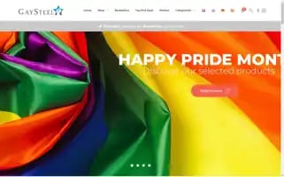 Gaysteel.nl Screenshot 2024-06-17 15:39:18