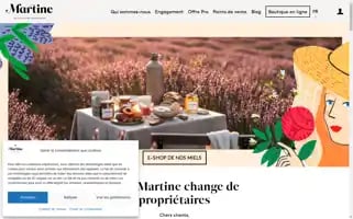 Mielmartine.fr Screenshot 2024-06-11 06:33:26