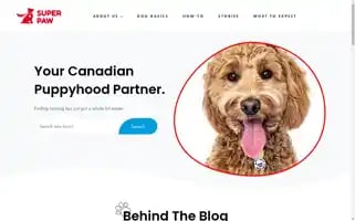 Superpawbox.com Screenshot 2024-05-04 08:41:59