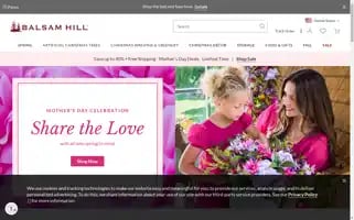 Balsamhill.com Screenshot 2024-05-08 16:39:13