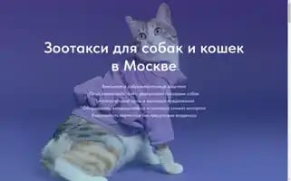 Astinzootaxi.ru Screenshot 2024-05-17 05:12:37