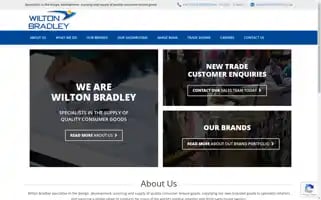 Wiltonbradley.com Screenshot 2024-07-06 17:42:48