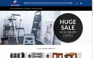 Saleladders.com Screenshot 2024-05-23 05:56:45