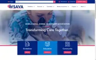 Wsava.org Screenshot 2024-06-17 15:13:50