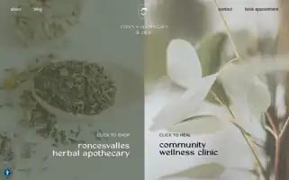 Roncysapothecaryclinic.com Screenshot 2024-05-24 23:33:39