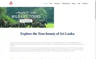 Ranfertravels.com Screenshot 2024-04-23 12:55:06