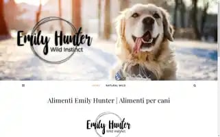 Emilyhunter.it Screenshot 2024-05-20 15:47:12