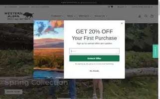 Westernaloha.com Screenshot 2024-05-04 21:17:55
