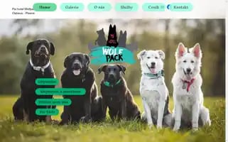 Psihotelwolfpack.com Screenshot 2024-04-26 11:32:42