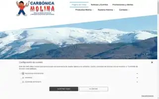 Carbonicamolina.com Screenshot 2024-07-05 01:55:12