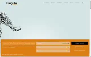 Singular.agency Screenshot 2024-06-12 11:51:29