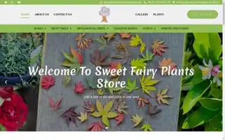 Sweetfairyplants.com.au Screenshot 2024-05-18 13:05:36