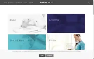 Profident.pl Screenshot 2024-06-29 21:59:05