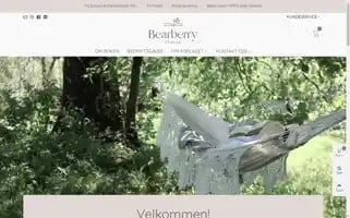 Bearberry.no Screenshot 2024-05-18 13:51:50