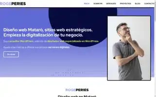 Rogerperies.com Screenshot 2024-06-14 04:16:46