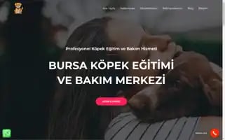 Bursakopekegitimi.com Screenshot 2024-05-27 12:06:33