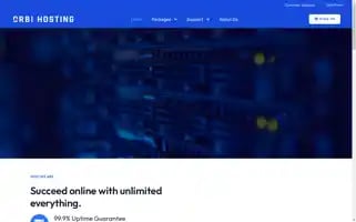 Orbi-hosting.com Screenshot 2024-06-19 03:33:55