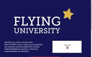 Flyinguniversity.org Screenshot 2024-05-28 14:44:19