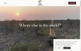 Tintswalo.com Screenshot 2024-07-01 21:10:42