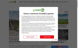 Greenme.it Screenshot 2024-06-30 09:01:46