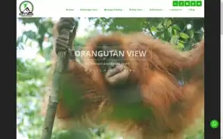 Bukitlawangtourtrekking.com Screenshot 2024-04-15 21:04:10